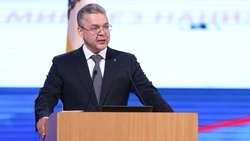 Губернатор Владимиров: проекты в сфере электроэнергетики на Ставрополье будут поддержаны 