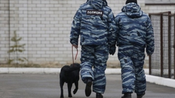 Информация о минировании филиала пединститута в Железноводске оказалась ложной