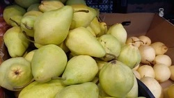 Железноводчан и гостей курорта приглашают на сельскохозяйственные ярмарки