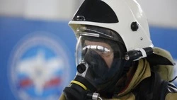 Локальный пожар на горе Развалке успешно потушили в Железноводске