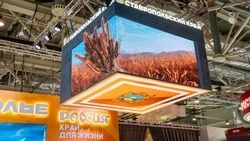С начала работы на стенде Ставрополья в Москве выпили 26 тонн минералки