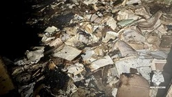 Хозпостройку потушили пожарные в Железноводске