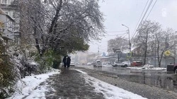 Дождь и мокрый снег прогнозируют утром на Ставрополье 17 ноября
