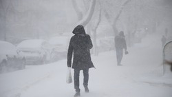 Сильнейший ветер и мокрый снег ожидаются на территории Ставрополья 26 декабря