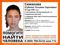 Активисты ищут пропавшую жительницу посёлка Иноземцево