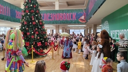 «Ёлок главы» в Железноводске станет больше