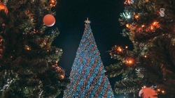 В Железноводске установят две новогодние ёлки