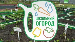 Школьников Железноводска научат выращивать овощи