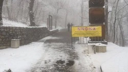 Жителей и гостей Железноводска попросили не ходить в лес из-за падающих веток