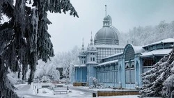 Курортный парк в Железноводске открылся после деревопада 