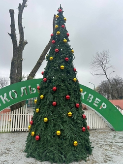 Дети залезли в новогоднюю ёлку в Железноводске