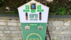 Брендированные вендинговые кормушки для белок появились в Железноводске