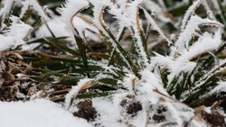Спасатели МЧС Ставрополья предупредили о снеге в крае 11 января