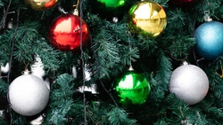 Мэр Железноводска подарил четырёхлетней горожанке коляску-велосипед