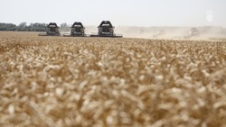 Аграрии Ставрополья намолотили более 9 млн зерна в 2023 году