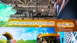 Квартиру на Ставрополье получит победитель викторины на выставке «Россия» 