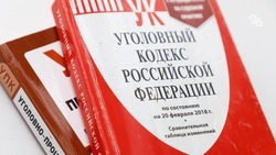Железноводчанка отправится под суд за ложный донос о травмах 