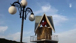 Впервые в Железноводске организуют фестиваль-конкурс новогодней моды «ГлаМУР»