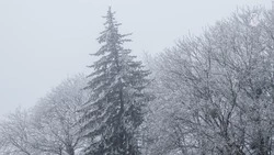 В Железноводске городские службы перешли на зимний режим работы