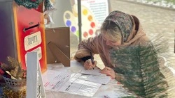 Новогодняя почта Южного Деда Мороза открылась в Железноводске