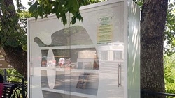 Книги из городской библиотеки находят в мусорках Железноводска