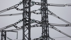 В Иноземцеве 7 июля отключат свет из-за опиловки деревьев