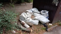 96 тонн мусора со стихийных свалок вывезли в октябре в Железноводске