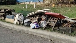 Выбросивших мусор в сквере в Железноводске женщин сняли на видео и оштрафовали