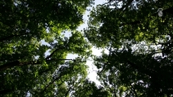 Субботники к Пасхе проведут на Ставрополье по поручению губернатора