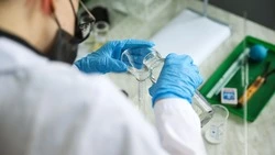 Учёные Ставропольского края разрабатывают кисломолочный продукт с антиоксидантными свойствами
