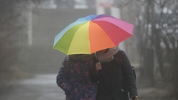 МЧС Ставрополья предупреждает жителей региона о возможной грозе 28 августа