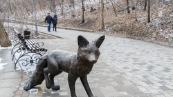 Терренкуры Курортного парка Железноводска закрыли из-за сильного ветра