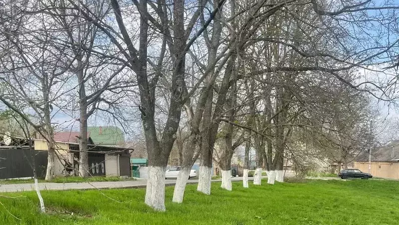 Субботник провели на детской площадке в посёлке Иноземцево