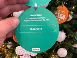 Желание юного жителя Иноземцева на Новый год исполнит глава Железноводска