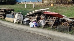 Выбросивших мусор в сквере в Железноводске женщин сняли на видео и оштрафовали