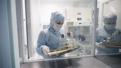 Бюджет лекарственного обеспечения Ставрополья вырос в 2024 году 
