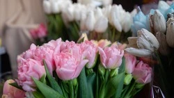 Международный женский день в Железноводске отметят концертами и фестивалем 