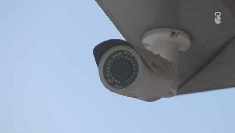 Фотоловушки для охраны леса установили в Железноводске