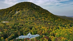 Губернатор Владимиров восхитился чистым воздухом Железноводска