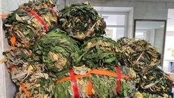 Волонтёры Железноводска плетут большие сети для солдат на СВО 