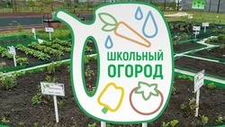 Школьников Железноводска научат выращивать овощи