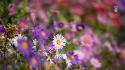 Концерт и волонтёрская акция пройдут в Железноводске 8 марта