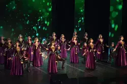 Два творческих коллектива Железноводска удостоены почётного звания «Народный»