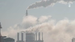 Завод по выпуску лекарств появится на Ставрополье благодаря индийским инвесторам