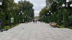 В железноводской модельной библиотеке будут вязать носки для участников спецоперации