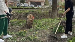Молодёжь Железноводска поучаствовала в субботнике 
