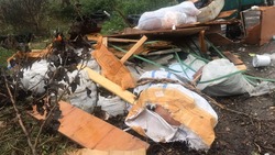 Благодаря видеокамерам находят мусорящих жителей в Железноводске
