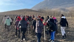 На Ставрополье появился предгорный железный сад 