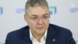 Владимир Владимиров поручил озеленить въезд в Железноводск