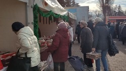 Больше 36 тыс. ярмарок провели на Ставрополье в 2023 году